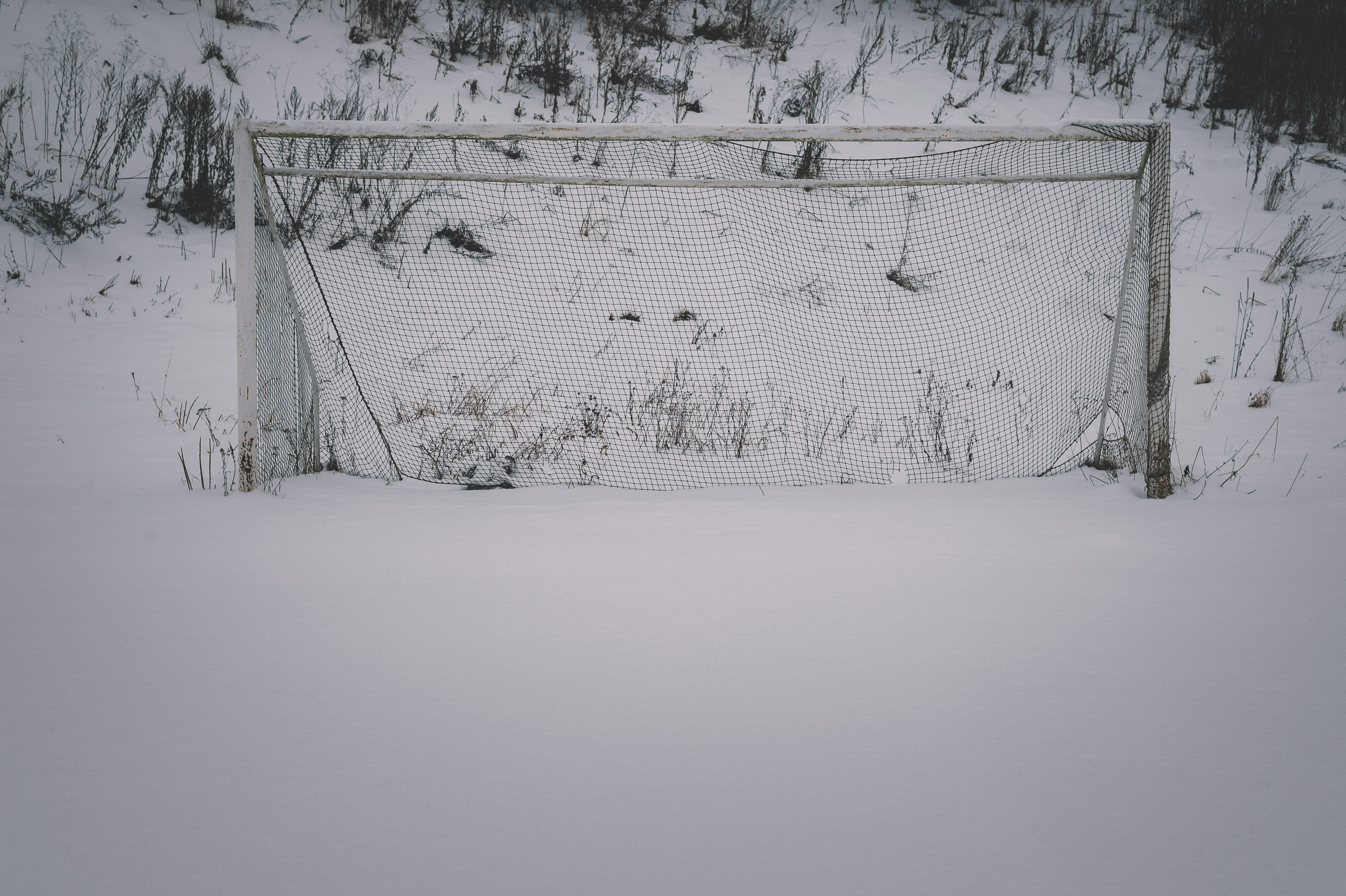 snow covered field during daytime